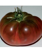 Accessoires de maison